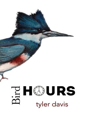 cover image of Bird Hours